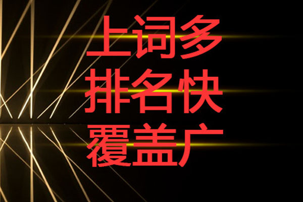 成都企業網站優化推廣幾個問題